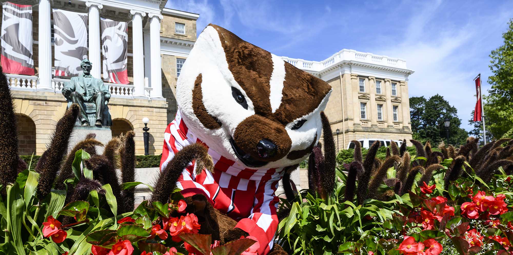 photo of Bucky Badger in front of UW-Madison's Bascom Hall